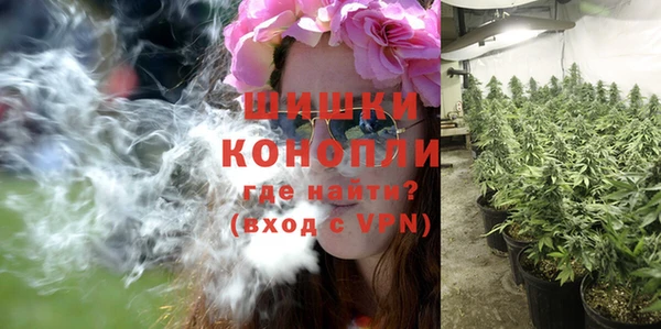 spice Нягань