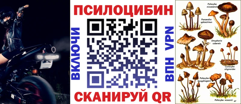 Галлюциногенные грибы мухоморы  даркнет какой сайт  Тихорецк 